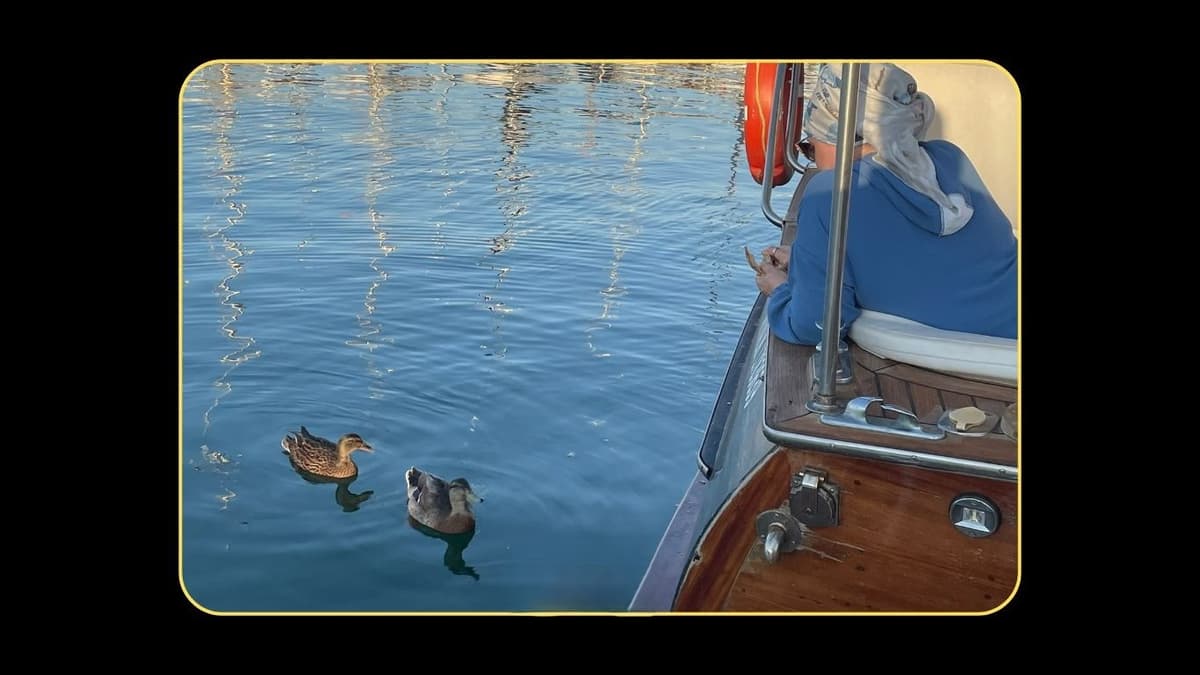 Ayvalık’ta mavinin en güzel hali. - 5