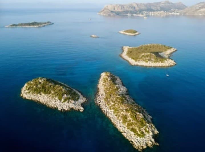 Tatil sizin, hizmet bizim olsun… - 5