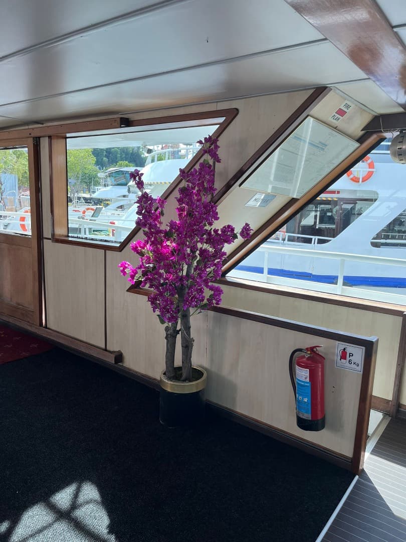 Boğaz’da 180 Kişilik Etkinlik Teknesi - 3