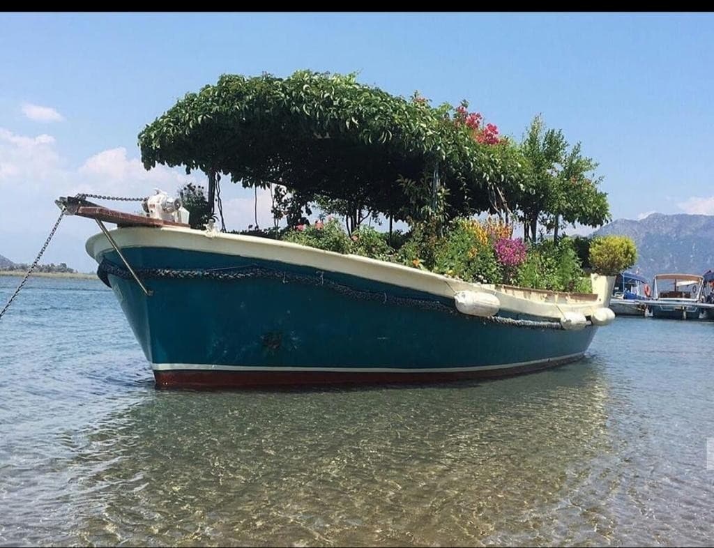 Dalyan'da Günübirlik Tur Teknesi - 3