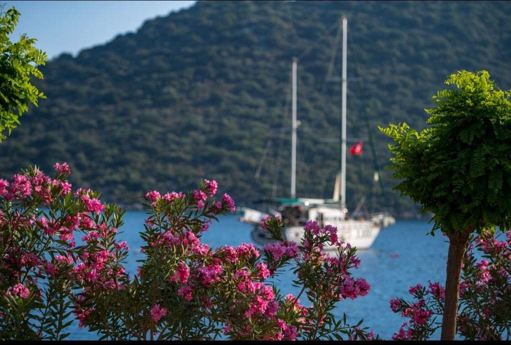 Göcek'te 20 metre Gulet - 4